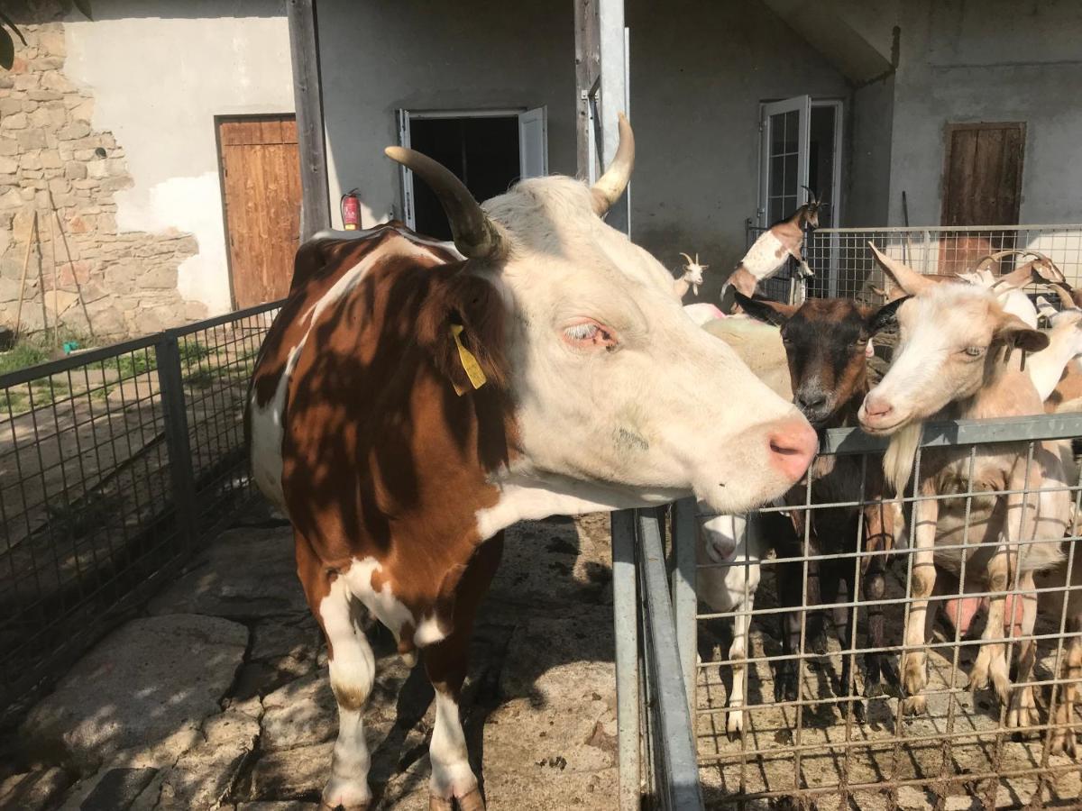 Pension Biofarma Slunecna Želnava Екстериор снимка